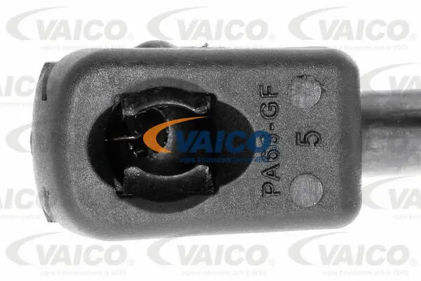 Gas Spring, boot/cargo area