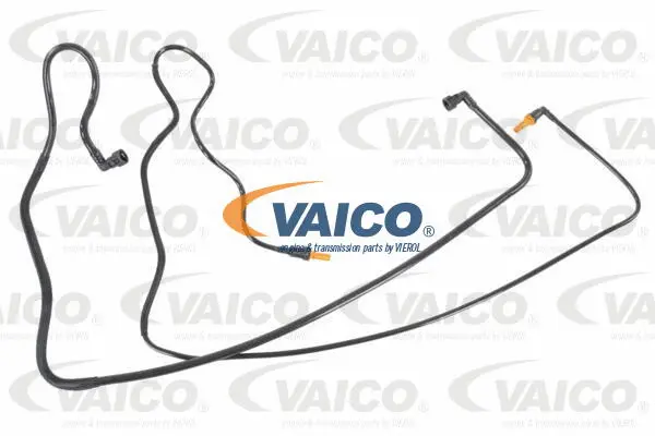 Fuel Line