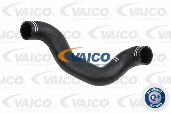 Charge Air Hose