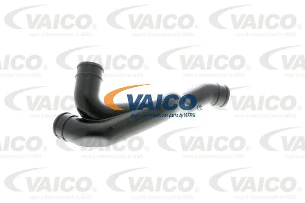 Hose, crankcase ventilation