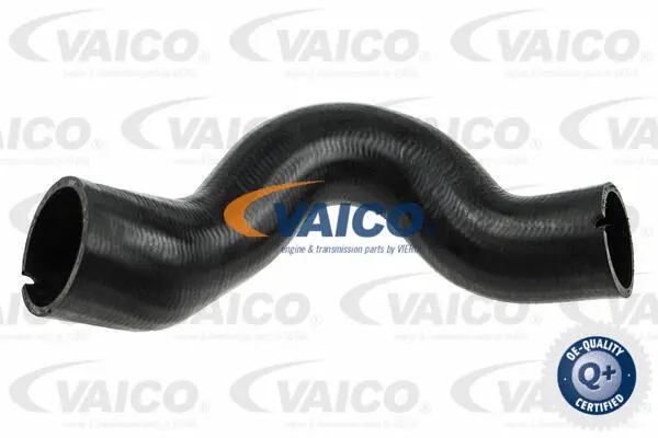 Charge Air Hose