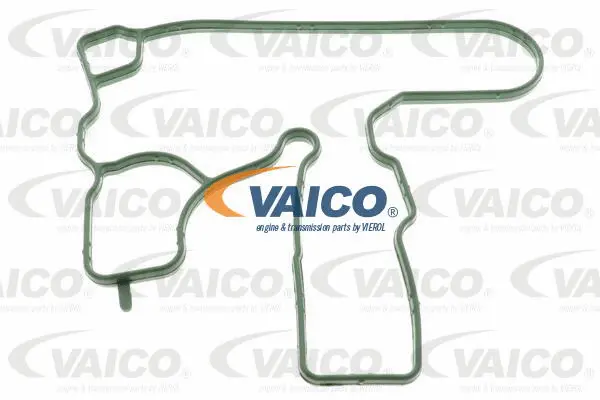 Gasket, crankcase ventilation