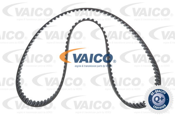 Timing Belt