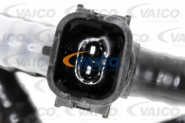 Fuel Line