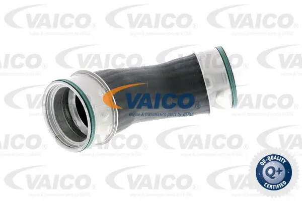 Charge Air Hose