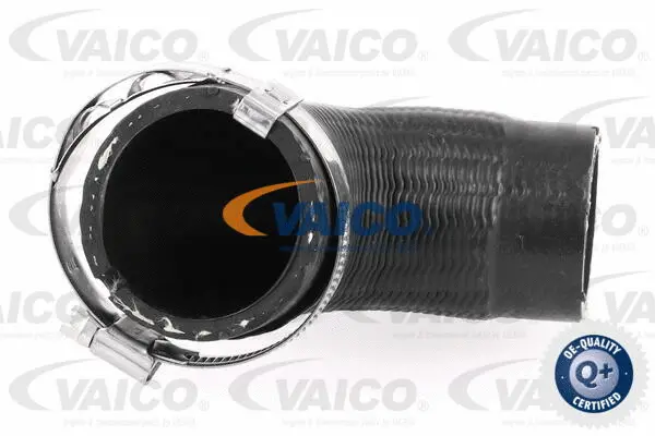 Charge Air Hose