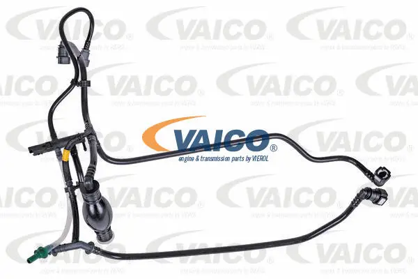 Fuel Line