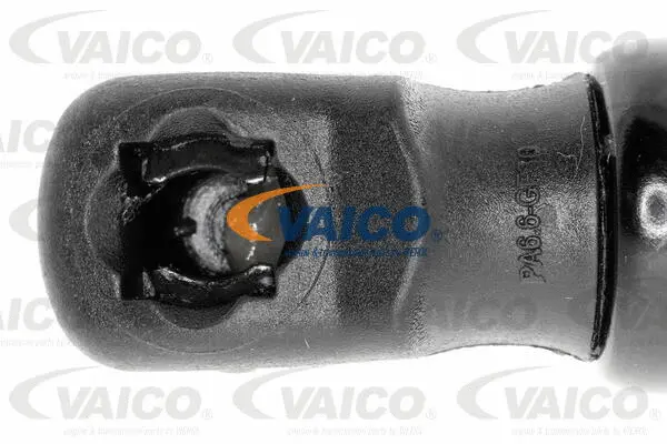 Gas Spring, boot/cargo area