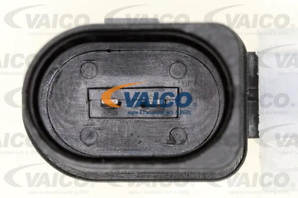 Expansion Tank, brake fluid