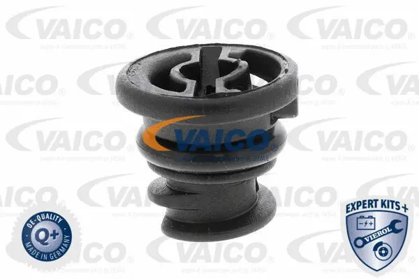 Screw Plug, oil sump