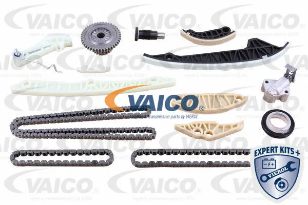 Timing Chain Kit