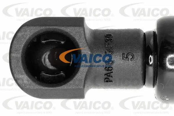 Gas Spring, boot/cargo area