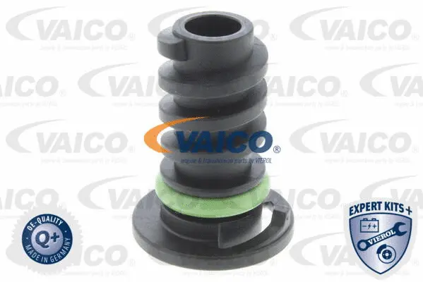 Screw Plug, oil sump