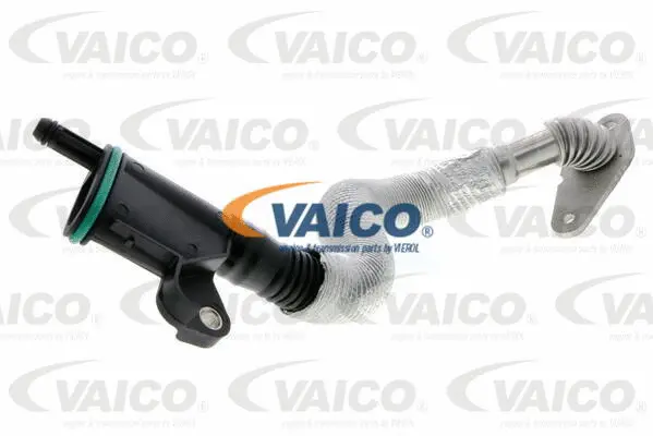 Hose, crankcase ventilation