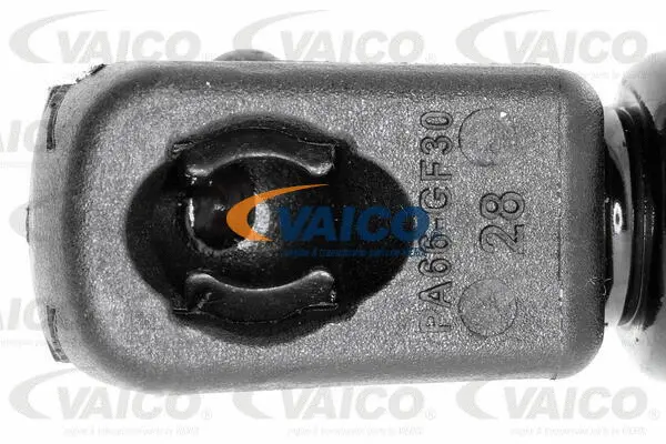 Gas Spring, boot/cargo area