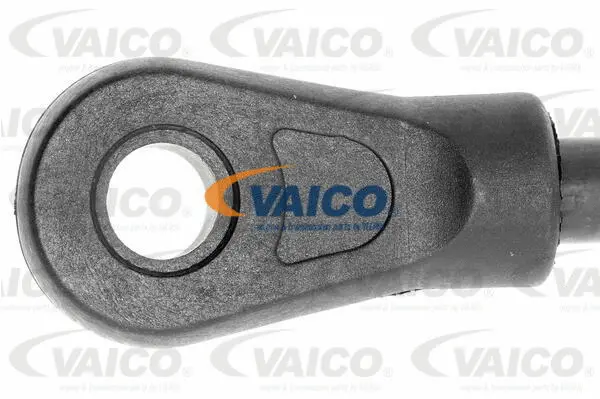 Gas Spring, bonnet
