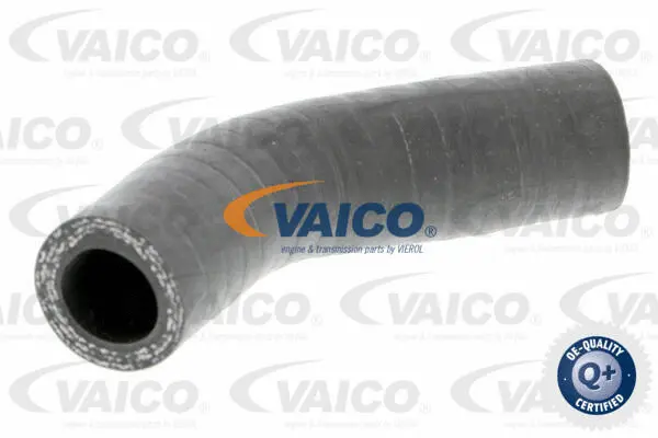 Charge Air Hose