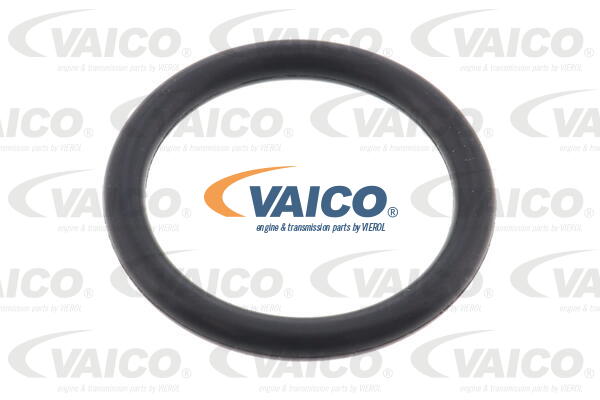 Coolant Flange