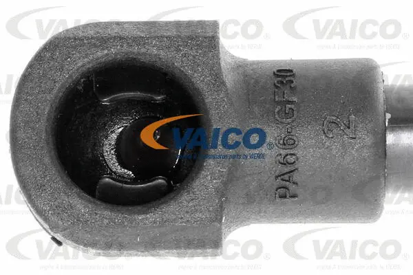 Gas Spring, boot/cargo area