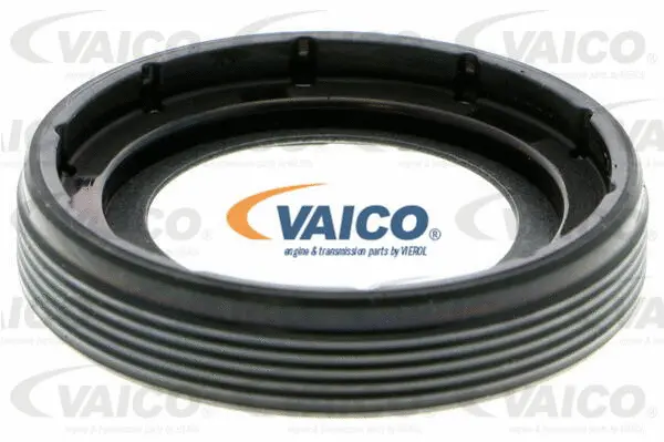 Shaft Seal, camshaft