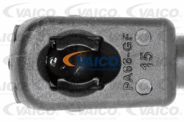 Gas Spring, boot/cargo area