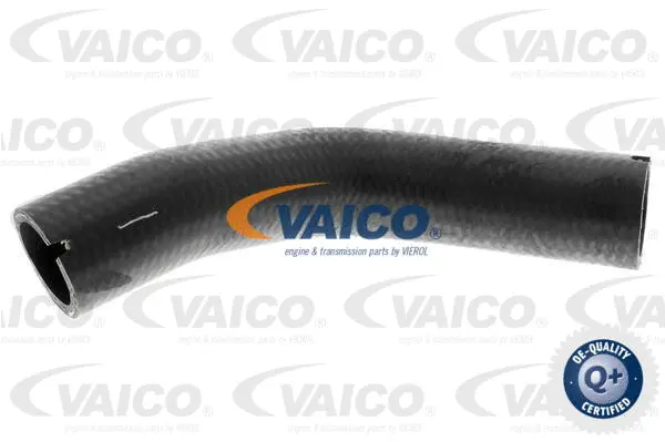 Charge Air Hose