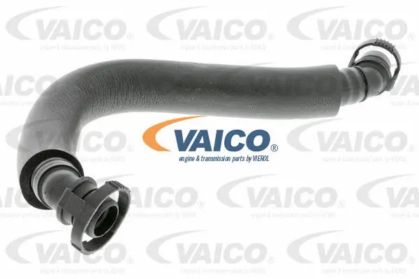 Hose, crankcase ventilation