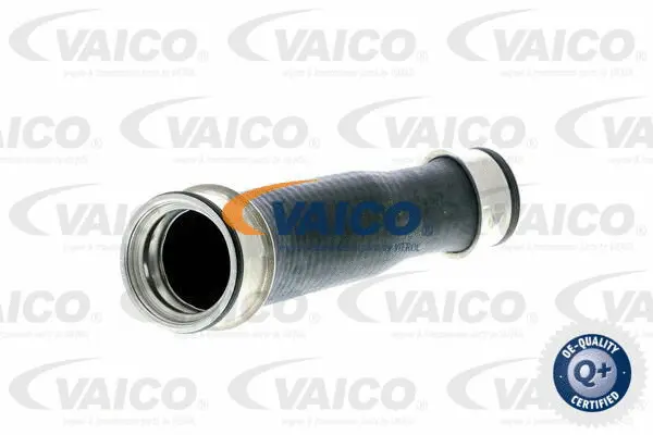 Charge Air Hose