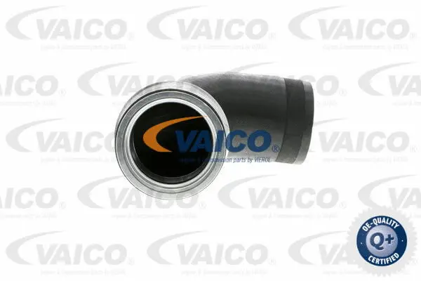 Charge Air Hose