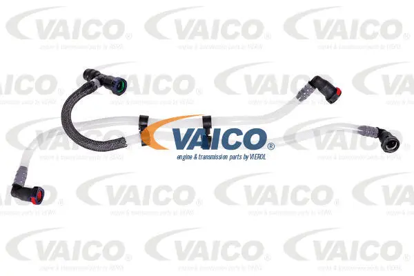 Fuel Line