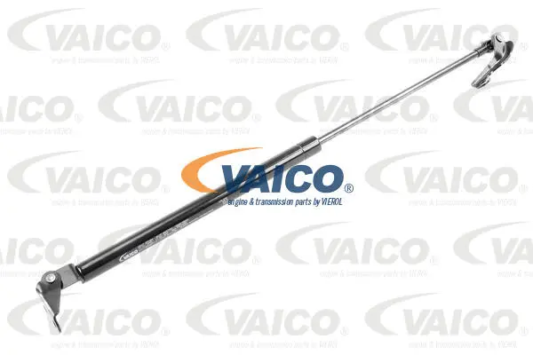Gas Spring, boot/cargo area