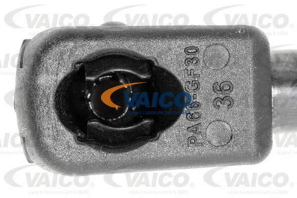 Gas Spring, boot/cargo area