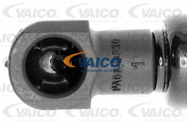 Gas Spring, boot/cargo area