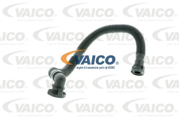 Hose, crankcase ventilation