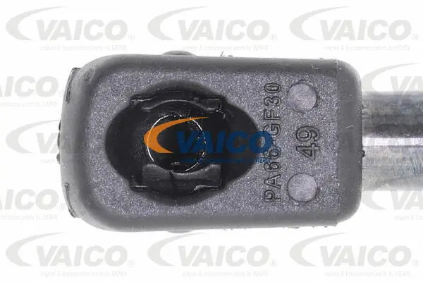 Gas Spring, boot/cargo area