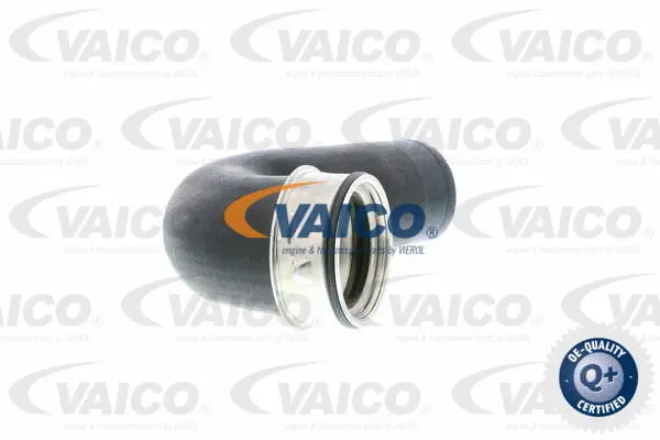 Charge Air Hose