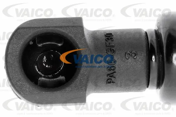 Gas Spring, boot/cargo area
