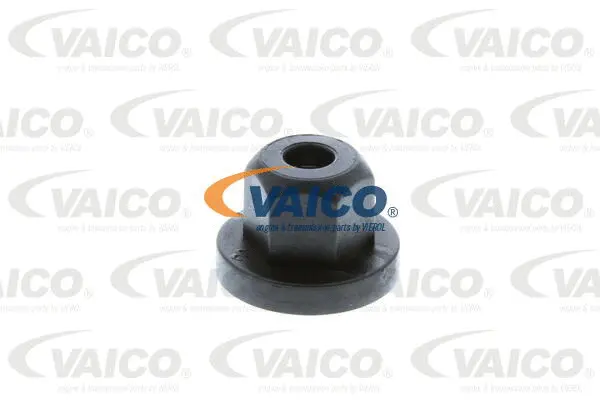 Clip, trim/protection strip