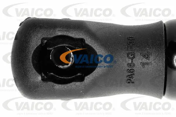 Gas Spring, boot/cargo area
