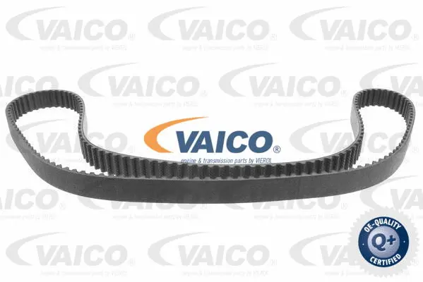 Timing Belt
