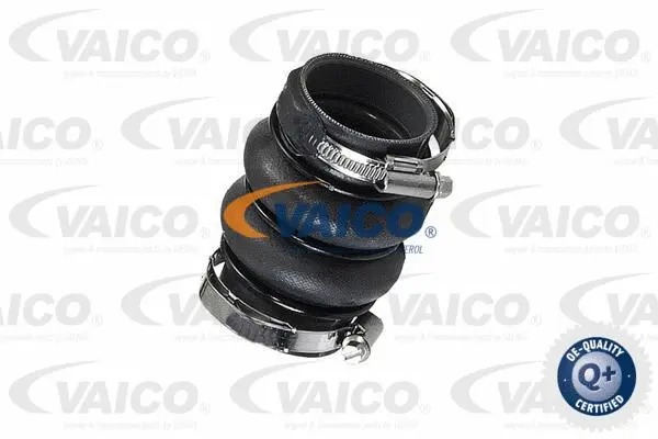Charge Air Hose