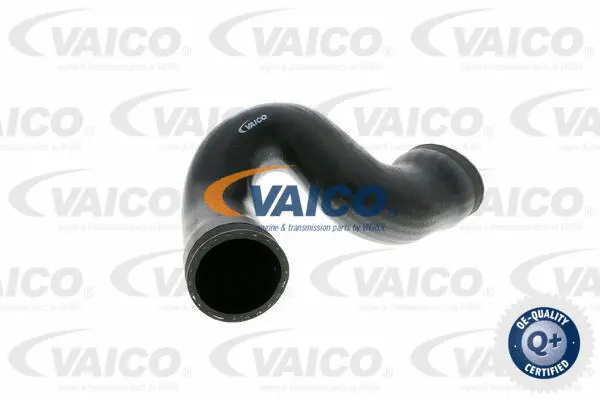 Charge Air Hose