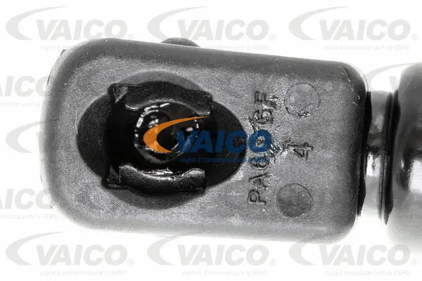Gas Spring, bonnet