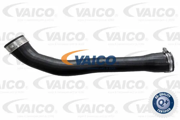 Charge Air Hose