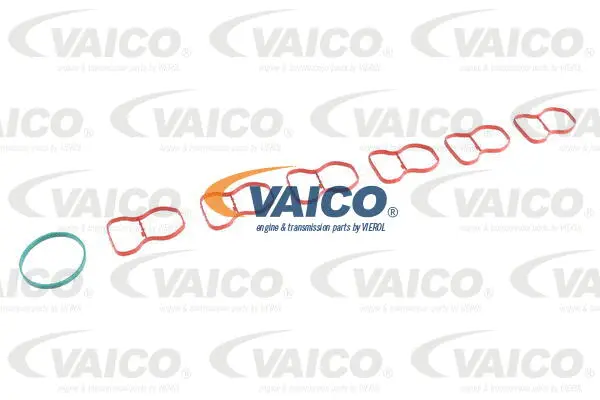 Intake Manifold Module