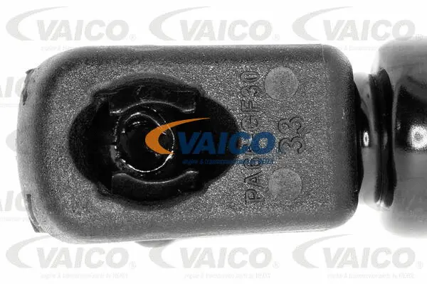 Gas Spring, boot/cargo area