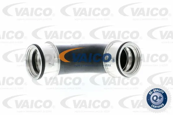 Charge Air Hose