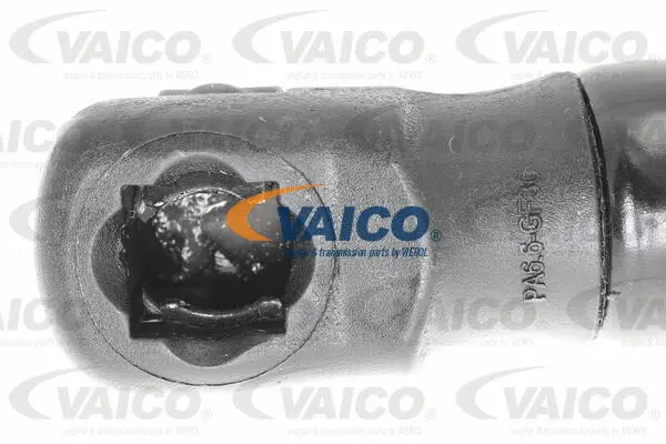 Gas Spring, boot/cargo area