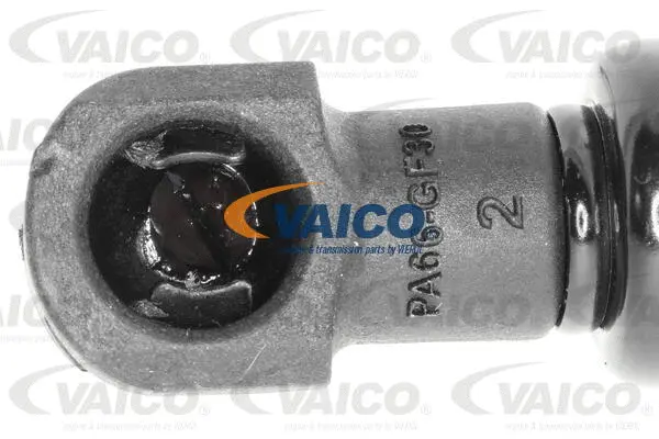 Gas Spring, boot/cargo area