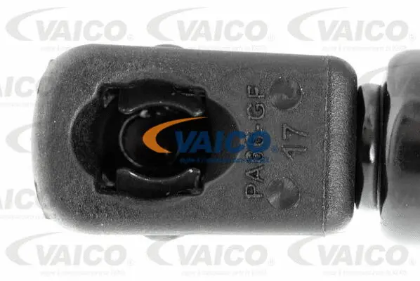 Gas Spring, boot/cargo area
